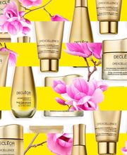 L'Heure Bleue Esthétique image 9