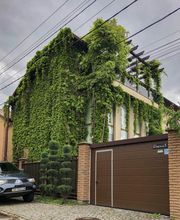 IMG_9478 меньше.jpg