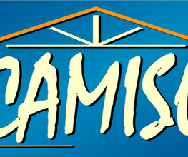 Camisol image 3