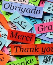 Ecole Primaire Privée Saint Léonard image 2