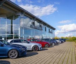 STERNAUTO Bild 5