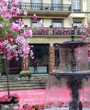 Blumengeschäft B. Ryffel Crea - Zone