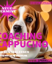 SPARK Coaching & Consulting Christina Wolff e.K. Bild 2