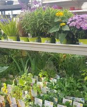 Gamm Vert Marans image 9