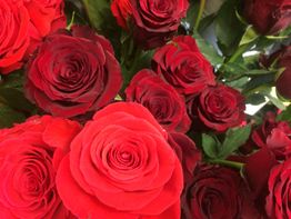 Blumen Heid