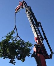 Bruno Jardins image 9