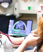 TotalBond Veterinary Hospital at Forestbrook image 8