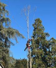 ALT ELAGAGE SAVOIE image 9