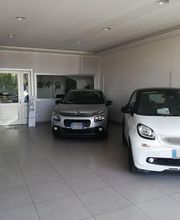 Gallery Cliente