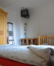 Billing’s Waldhaus Bild 10