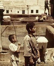 Bailando entre poesías imagen 8