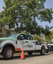 TreeTech TX image 3