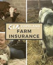 Copeland Insurance Agency, Inc. image 9