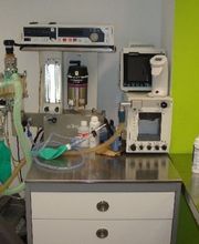 clinica-veterinaria-animalitas-equipo-cirugia-05.jpg