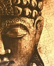 FIT& WELL Massagen und Reflexzonentherapie Bild 3