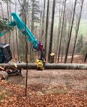 Gast & Landwirtschaft Guldenthal Bild 13