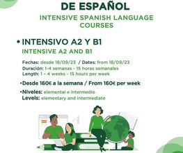cursosintensivosdeespanol.jpg