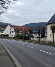 Baufeldrodung nachher