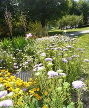 Alterszentrum Schiffländi Bild 6