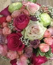 Blumen Kaiser Bild 6