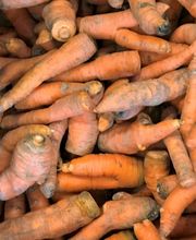 Le Jardin Des Celestins image 20