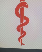 Nirina Torlotting image 1