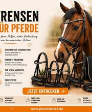 Pferdchen24 Bild 7