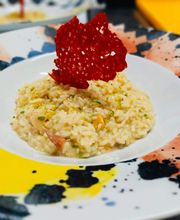 Gallery Professionale