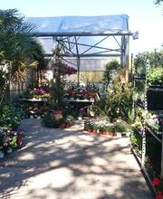 Les Jardins D'Alexandre image 19