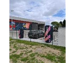 Wenea imagen 13
