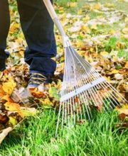 Hausmeisterservice Wiefarn Bild 5