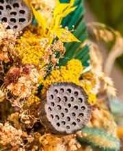 Linder Blumen am Bahnhofplatz in Aarau Bild 9