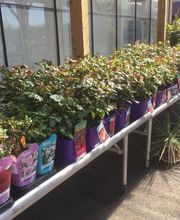 Jardinerie André image 10