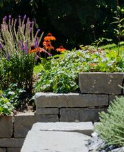 Niesen Gärten GmbH Bild 9