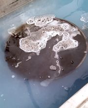 DPF Alternatives of the Panhandle image 3