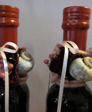 Blumen Schenk Bild 10