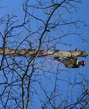 L'Art Boricole image 6