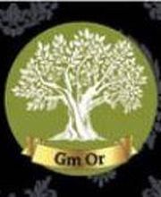GM Or image 8