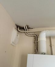 Action 3D Nuisibles image 18