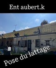 Ent Aubert K image 16