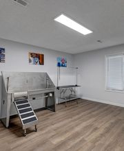 Elements of Madison Apartments image 12