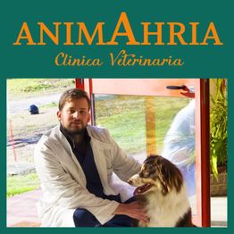 AnimAhria - clinica veterinaria logo