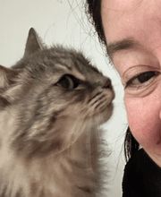 Felicemente pet sitter immagine 2