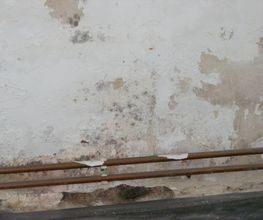 Matthias König Bild 1