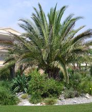 Schober Giardini Bild 2