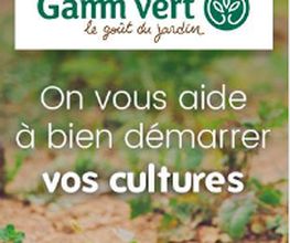 Gamm Vert de Cavagnac image 3