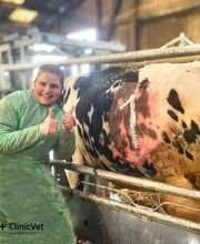 ClinicVet Vétérinaire Foucarmont image 9