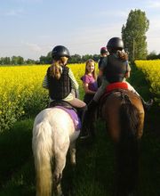 Reiten mit Achtsamkeit Angelika Rose Bild 1