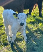 Hof Bode Inh. Jens Bode Bild 3