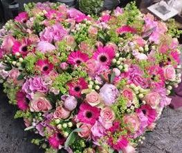 Blumen Dahlmann Bild 3
